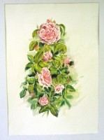 Rose « Comte de Chambord », par Evelyne Bouvier,  5°prix 